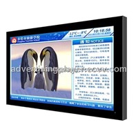 Supply 42/55/65 inch LCD TFT Touch Screen Advertising Player  LCD display  Digital Signage