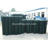 Anping Holland Fencing for European Market (Professional Factory)
