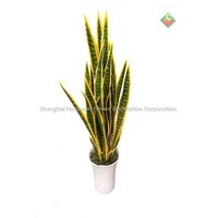 Artificial plants Sansevieria or snake plant