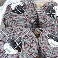 BWG13*14 Electro Galvanzied Barbed Wire (Factory Supplier)