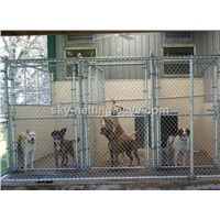 Best Price Galvanized Chain Link Outdoor Dog Kennels
