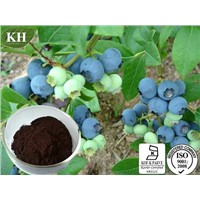 Bilberry extract 15-35% Anthocyanidins (UV),15-35% Anthocyanins (HPLC) ,CAS:84082-34-8