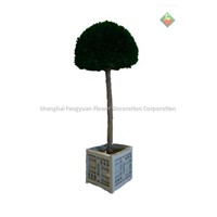 Artificial plant&amp;amp;tree Boxwood Topiary (semisphere)