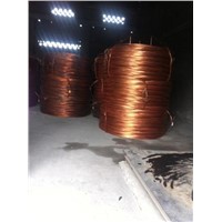Copper wire rod