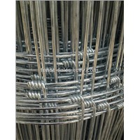 Hot Galvanized Field Fence (20 Years Factory )