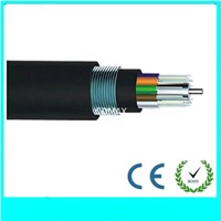fiber Cable GYTY53