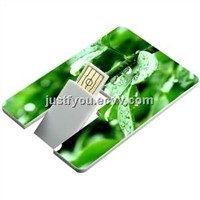 OEM Card USB Disk Flash Drive for Promotional Gift