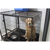 Wire Mesh Dog Cage (Anping Factory)