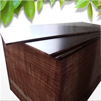 1220*2440mm WBP poplar wood film faced plywood
