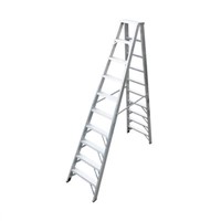 Aluminum Double-side Ladder