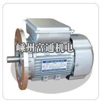Oil Pump motor