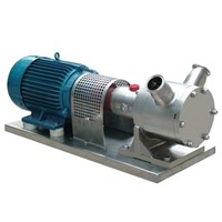 Sine pump, volumetric pump, positive displacement pump, volume delivery pump, variable delivery pump