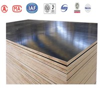 high building used WBP waterproof construct plywood