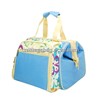 Outdoor Cooler Insulated Bag Holds Can, Bottle, Drink,Fruit.Designer Picnic Cooler Bag