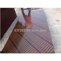 lower prices high quality film faced plywood