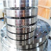 ASME B 16.5 china forged stainless steel plate forged Flange