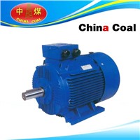 YB2D Series Pole-changing Multi-speed Three-phase Asynchronous Motor