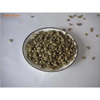 chlorogenic acid green coffee bean extract