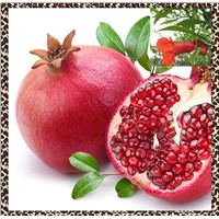 high quality pomegranate peel extract