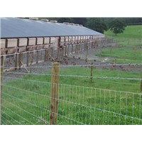 High Tensile Field Fence  Strong yet Light Weight