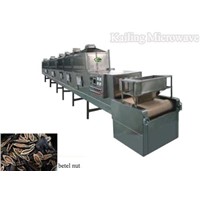 Microwave puffed and drying equipment for betel nut