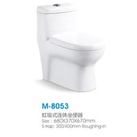 Sighonic  one piece toilet with any fitting