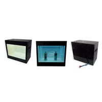 Transparent LCD with 22 Inch Screen for Advertising Player
