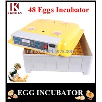 Wholesale Price Mini Egg Incubator 48 Eggs Incubator