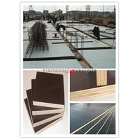exported brown/black film faced plywood