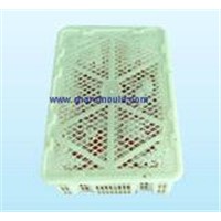 plastic fruit case mould