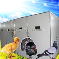 poultry egg incubators prices/chicken egg incubator