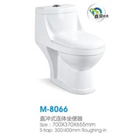 washdown one piece toilet with any fittings