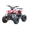 110cc 4-stroke Mini  Quad Bike / Kids ATV / Quad Bike/ Dirt Poket Bike/ Motorcycle/Four Wheel Bike