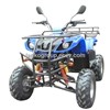 150cc/200CC  ATV/UVT/Dirt Bike/Pocket Bike/Quad Bike/ Off Road Vehicle