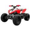 ATV/Four Wheel Bike/Dirt Bike/Motorcycle/Quad Bike 250cc Water Cooled
