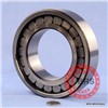 Full complement Cylindrical Roller Bearings NJ420 N1021 NF1021