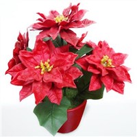 Artificial Christmas Flower with LED Lights, Nontoxic PU for House Decorations