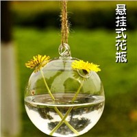 Hanging Glass Terrarium Vase Glass Globe with 2 small holes Home Decorative