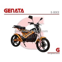 (Patented) EEC Folding Electric Motorbike (GM890E)