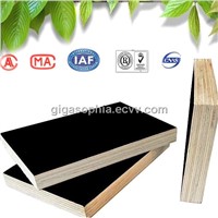 Phenolic high quality construction okoume plywood