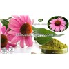 Echinacea Purpurea Extract Polyphenols 4%, 7%