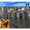Various fruit vinegar drinks production line