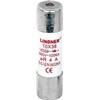cylindrical low voltage fuse