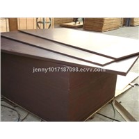 18mm poplar core black film faced plywood chinese /phenolic brown film faced plywood