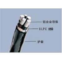 XLPE Insulated, PVC Sheathed electric  cable