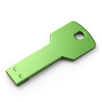 Best promotion choice key USB flash drive