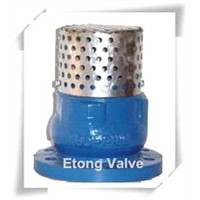 Cast Iron Foot Valve Check With Strainer SS Mesh