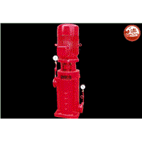 Fire pump motor