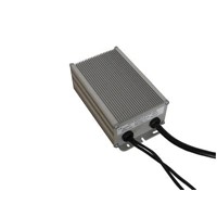 HPS digital ballast 400W