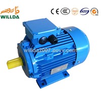 MS series 3 phase AC Induction Motors